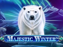 Majestic Winter